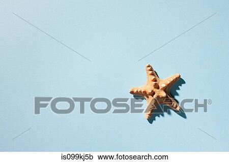Starfish on turquoise background View Large Photo Image Stock Image - Starfish on turquoise background. Fotosearch