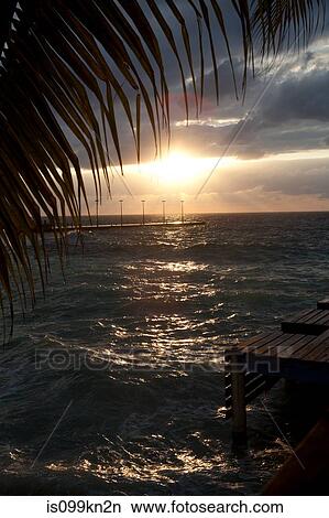 Sunset over Caribbean Sea, Grand Cayman, Cayman Islands View Large Photo Image Picture - Sunset over Caribbean Sea, Grand Cayman, Cayman Islands. Fotosearch