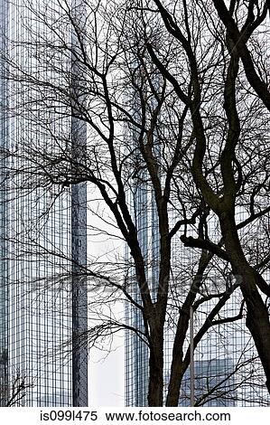 Stock Photography - Trees in front of office building. Fotosearch