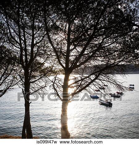 Stock Photo - View of sea through trees, Costa Brava, Spain. Fotosearch