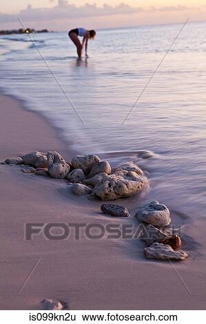 Woman standing at water's edge, Grand Cayman, Cayman Islands View Large Photo Image Stock Photograph - Woman standing at water's edge, Grand Cayman, Cayman Islands. Fotosearch