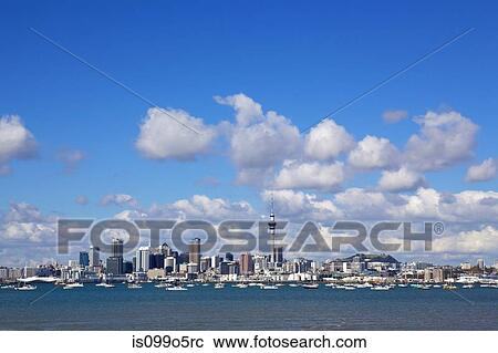 Auckland harbour skyline, New Zealand View Large Photo Image Stock Image - Auckland harbour skyline, New Zealand. Fotosearch