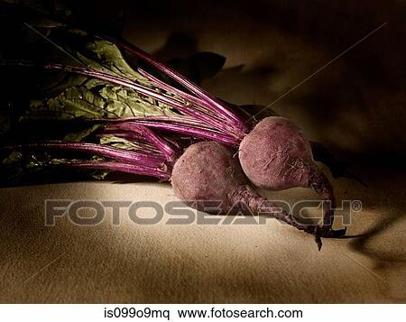 Beetroot View Large Photo Image Stock Photography - Beetroot. Fotosearch