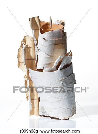 Birch tree bark View Large Photo Image Stock Image - Birch tree bark. Fotosearch