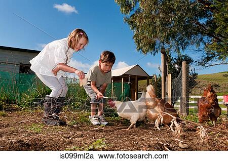 Stock Image - Children feeding chickens. Fotosearch