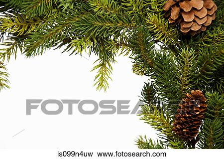 Stock Photo - Christmas wreath, studio shot. Fotosearch