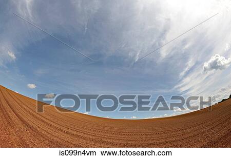 Corn field in spring View Large Photo Image Picture - Corn field in spring. Fotosearch