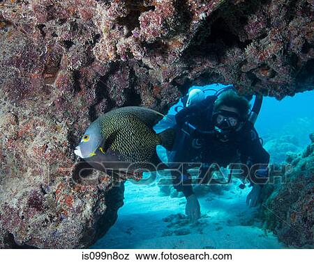 Diver on Rebreather View Large Photo Image Stock Photo - Diver on Rebreather. Fotosearch