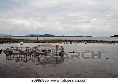 Fishing nets in sea at Ko Lanta, Thailand View Large Photo Image Stock Photography - Fishing nets in sea at Ko Lanta, Thailand. Fotosearch