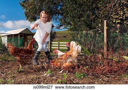 Girl feeding chickens View Large Photo Image Stock Photo - Girl feeding chickens. Fotosearch
