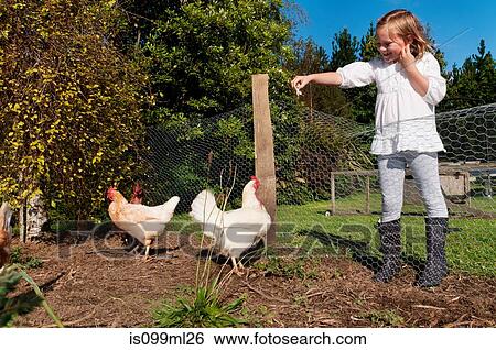 Girl feeding chickens View Large Photo Image Stock Photograph - Girl feeding chickens. Fotosearch