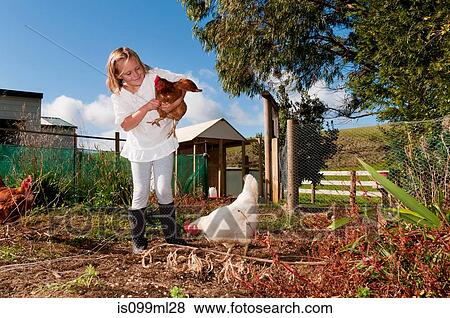 Girl holding a chicken View Large Photo Image Stock Photo - Girl holding a chicken. Fotosearch