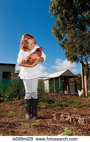 Girl holding a chicken View Large Photo Image Stock Photo - Girl holding a chicken. Fotosearch