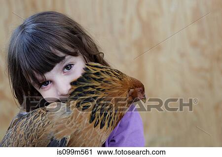Girl holding hen View Large Photo Image Stock Image - Girl holding hen. Fotosearch