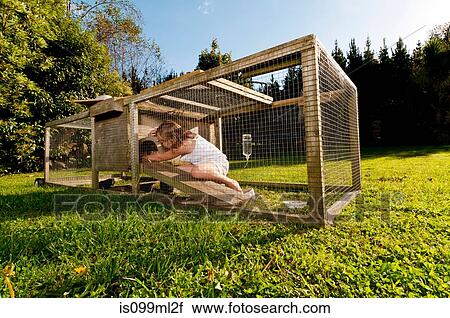 Girl looking for guinea pig in hutch View Large Photo Image Stock Image - Girl looking for guinea pig in hutch. Fotosearch
