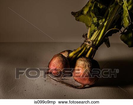 Golden beets View Large Photo Image Stock Photography - Golden beets. Fotosearch