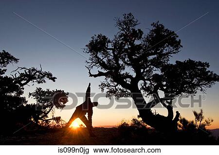 Man stretching at sunrise in Death Valley National Park, California, USA View Large Photo Image Stock Image - Man stretching at sunrise in Death Valley National Park, California, USA. Fotosearch