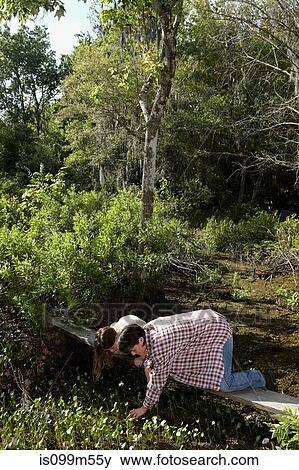 Mother and daughter kneeling on boardwalk in forest View Large Photo Image Stock Photo - Mother and daughter kneeling on boardwalk in forest. Fotosearch