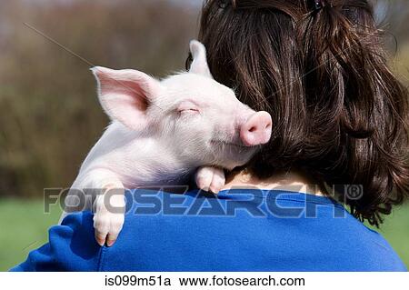 Stock Image - Person holding piglet over shoulder. Fotosearch