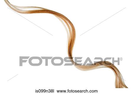 Piece of blonde hair View Large Photo Image Stock Image - Piece of blonde hair. Fotosearch