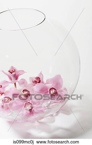 Stock Image - Pink flowers in glass bowl. Fotosearch