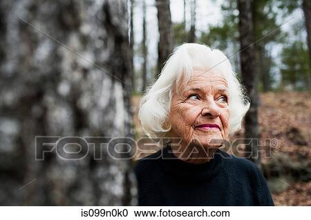 Portrait of senior woman looking away in forest View Large Photo Image Stock Image - Portrait of senior woman looking away in forest. Fotosearch