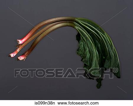 Rhubarb stems View Large Photo Image Picture - Rhubarb stems. Fotosearch
