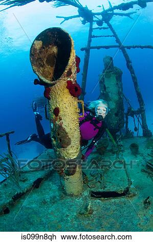 Scuba Diver on Shipwreck View Large Photo Image Stock Image - Scuba Diver on Shipwreck. Fotosearch