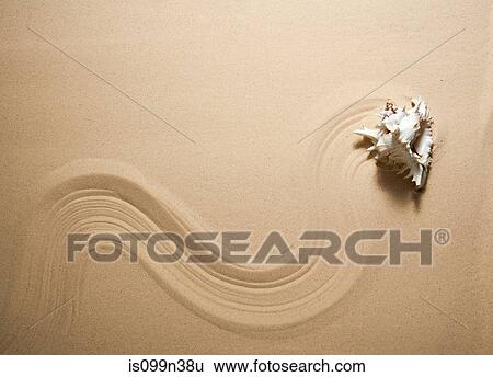 Stock Photograph - Sea shell making wavy line on sand. Fotosearch