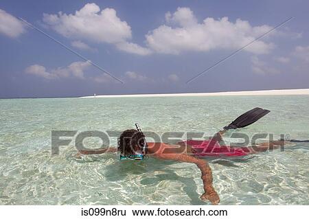 Snorkeler near Island View Large Photo Image Stock Photograph - Snorkeler near Island. Fotosearch