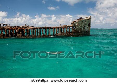 Snorkeling Near Sapona Wreck View Large Photo Image Stock Image - Snorkeling Near Sapona Wreck. Fotosearch