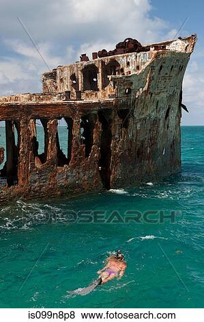 Snorkeling Near Sapona Wreck View Large Photo Image Stock Photo - Snorkeling Near Sapona Wreck. Fotosearch