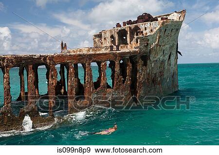 Snorkeling Near Sapona Wreck View Large Photo Image Stock Photo - Snorkeling Near Sapona Wreck. Fotosearch