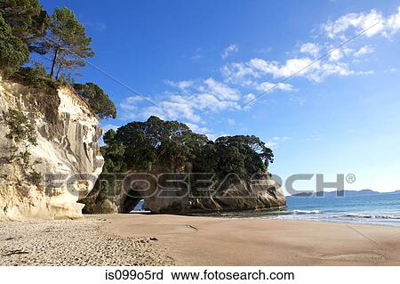 Stock Image - Te Whanganui-A-Hei (Cathedral Cove), New Zealand. Fotosearch
