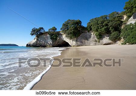 Te Whanganui-A-Hei (Cathedral Cove), New Zealand View Large Photo Image Stock Image - Te Whanganui-A-Hei (Cathedral Cove), New Zealand. Fotosearch