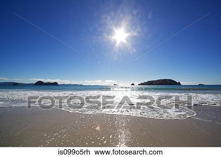 View out to sea in sunlight, Hahei, Waikato Region, New Zealand View Large Photo Image Stock Image - View out to sea in sunlight, Hahei, Waikato Region, New Zealand. Fotosearch