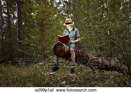 Boy sitting on tree trunk reading book View Large Photo Image Stock Image - Boy sitting on tree trunk reading book. Fotosearch
