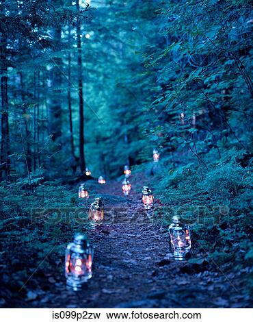 Lanterns marking a path through the woods View Large Photo Image Stock Photo - Lanterns marking a path through the woods. Fotosearch