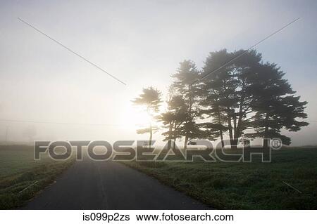 Misty sunrise over rural road View Large Photo Image Stock Photograph - Misty sunrise over rural road. Fotosearch