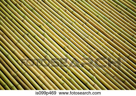 Rows of bamboo wood View Large Photo Image Stock Photo - Rows of bamboo wood. Fotosearch