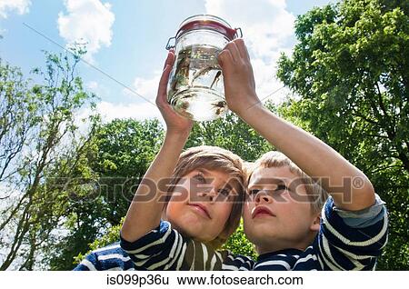 Two boys looking at tadpoles in jar View Large Photo Image Stock Photograph - Two boys looking at tadpoles in jar. Fotosearch