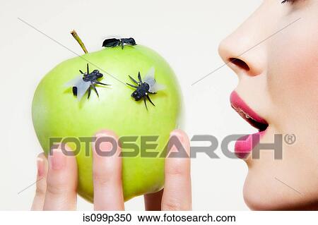 Young woman eating apple with flies on it View Large Photo Image Stock Image - Young woman eating apple with flies on it. Fotosearch