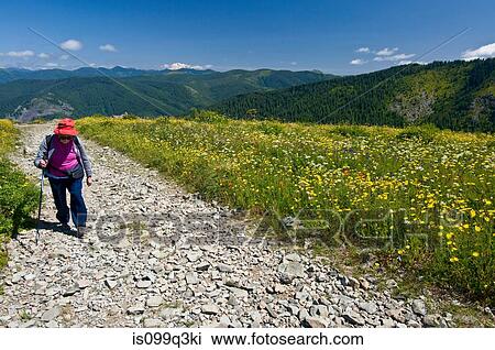 Female hiker on mountain path, Silver Star Peak, Cascade Range, Washington, USA View Large Photo Image Stock Image - Female hiker on mountain path, Silver Star Peak, Cascade Range, Washington, USA. Fotosearch