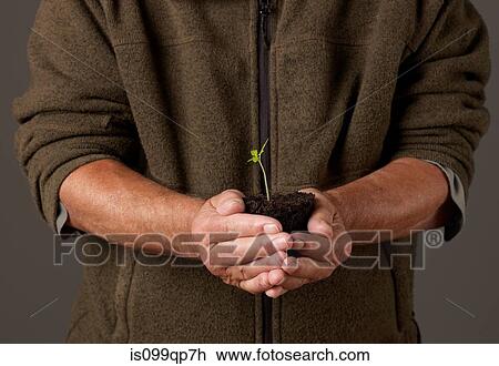 Stock Image - Man holding seedling. Fotosearch