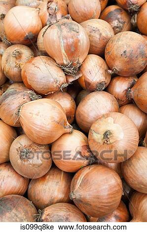 Stock Image - Onions. Fotosearch