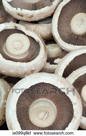 Portobello mushrooms View Large Photo Image Stock Image - Portobello mushrooms. Fotosearch