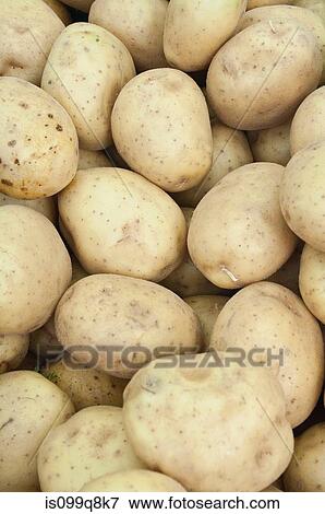 Potatoes View Large Photo Image Stock Photo - Potatoes. Fotosearch