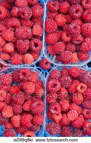 Stock Image - Raspberries in containers. Fotosearch
