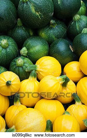 Round yellow and green courgettes View Large Photo Image Stock Image - Round yellow and green courgettes. Fotosearch
