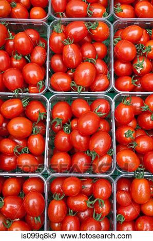 Small plum tomatoes in containers View Large Photo Image Stock Photo - Small plum tomatoes in containers. Fotosearch